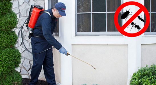 Tavas Karınca İlaçlama böcek ilaçlama ve haşere kontrolü — ilaclama-tr.com